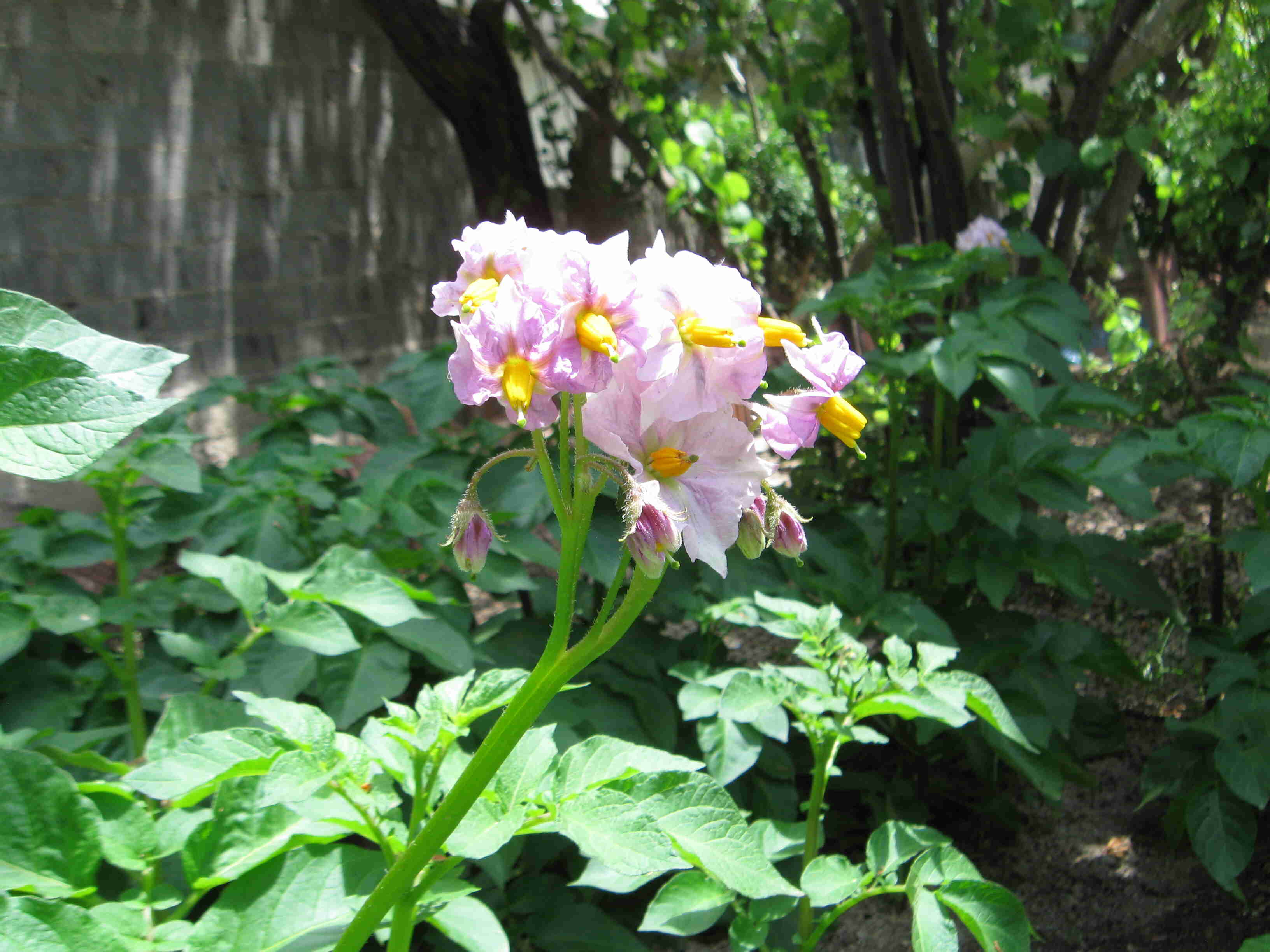 06