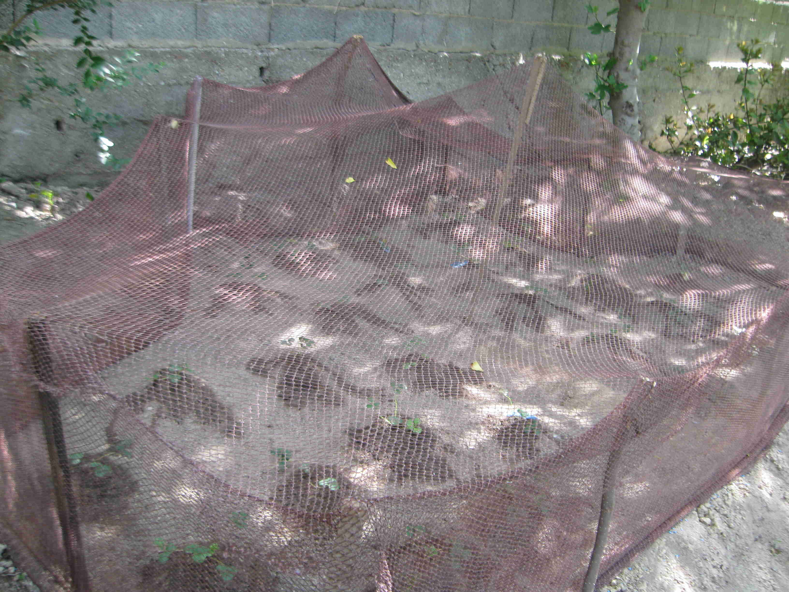 09